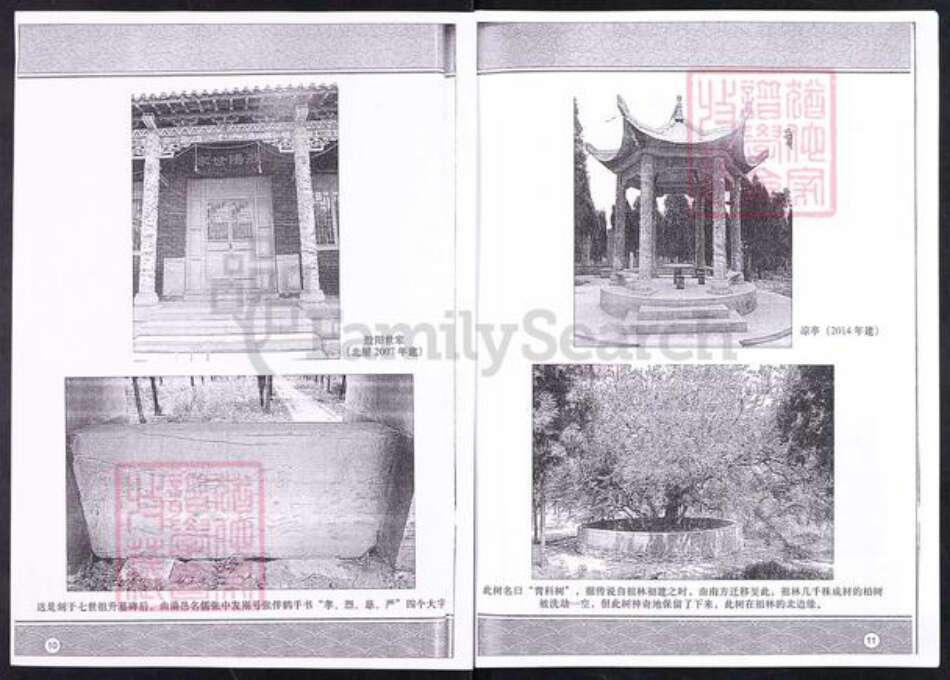 山东省淄博市博山区孙氏九如堂族谱-般阳孙氏大庄二支分谱(演祖).pdf电子版预览图5