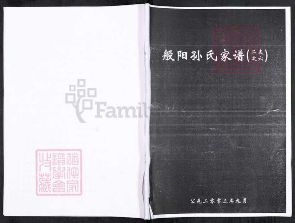 山东省淄博市淄川区孙氏族谱-般阳孙氏家谱(二支之六).pdf电子版缩略图