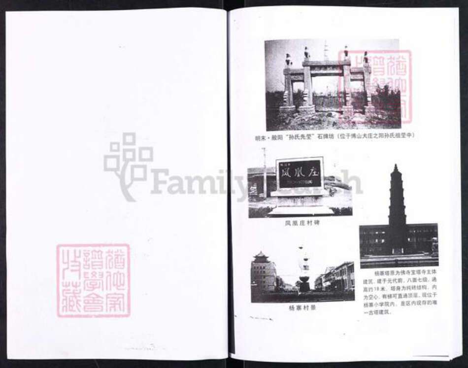 山东省淄博市淄川区孙氏族谱-般阳孙氏家谱(二支之六).pdf电子版预览图1