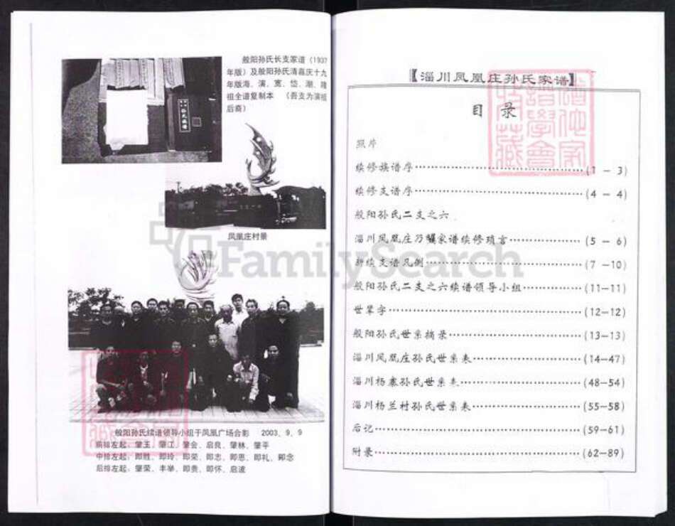 山东省淄博市淄川区孙氏族谱-般阳孙氏家谱(二支之六).pdf电子版预览图2