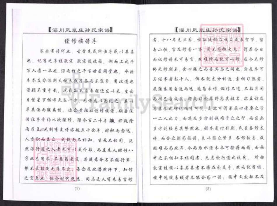 山东省淄博市淄川区孙氏族谱-般阳孙氏家谱(二支之六).pdf电子版预览图3