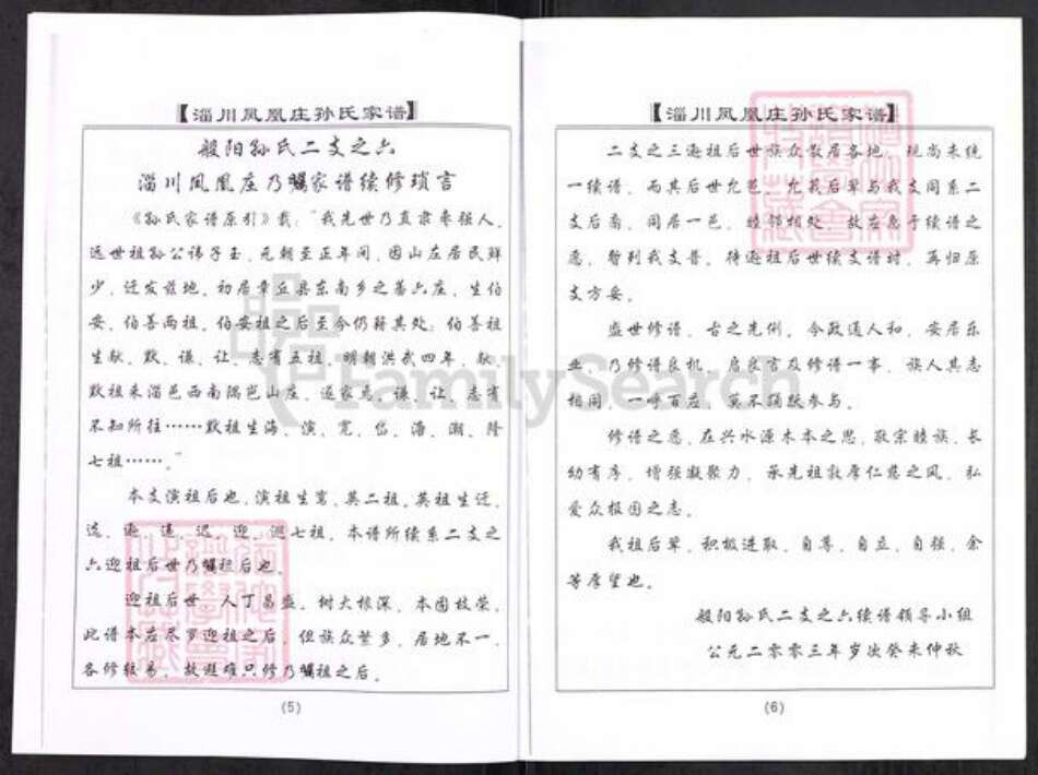 山东省淄博市淄川区孙氏族谱-般阳孙氏家谱(二支之六).pdf电子版预览图5