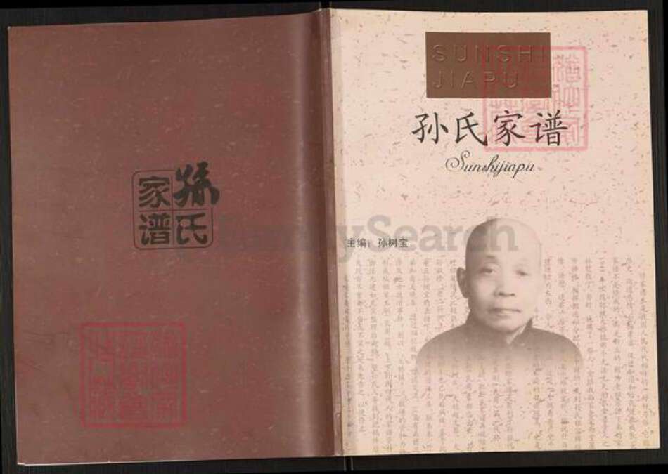 江苏省扬州市江都区大桥镇孙氏族谱-孙氏家谱.pdf电子版缩略图