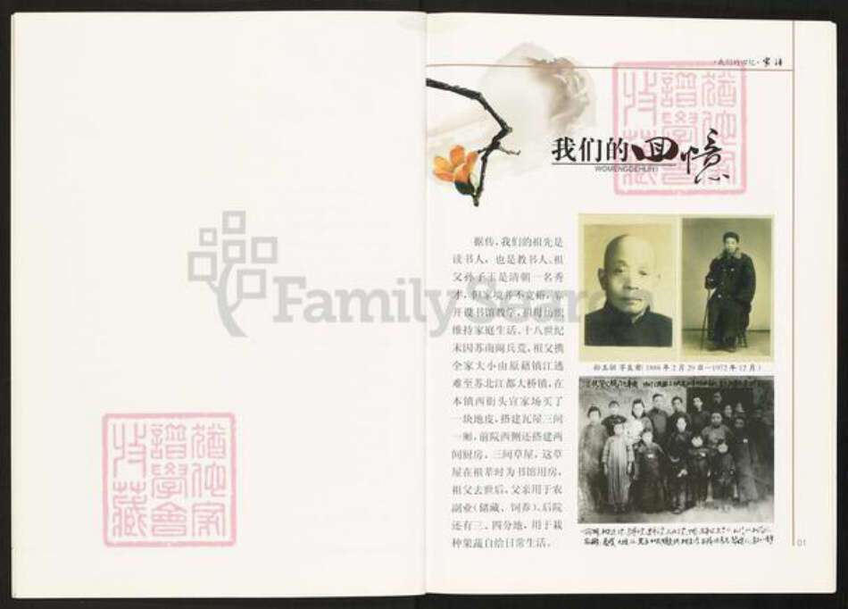 江苏省扬州市江都区大桥镇孙氏族谱-孙氏家谱.pdf电子版预览图4