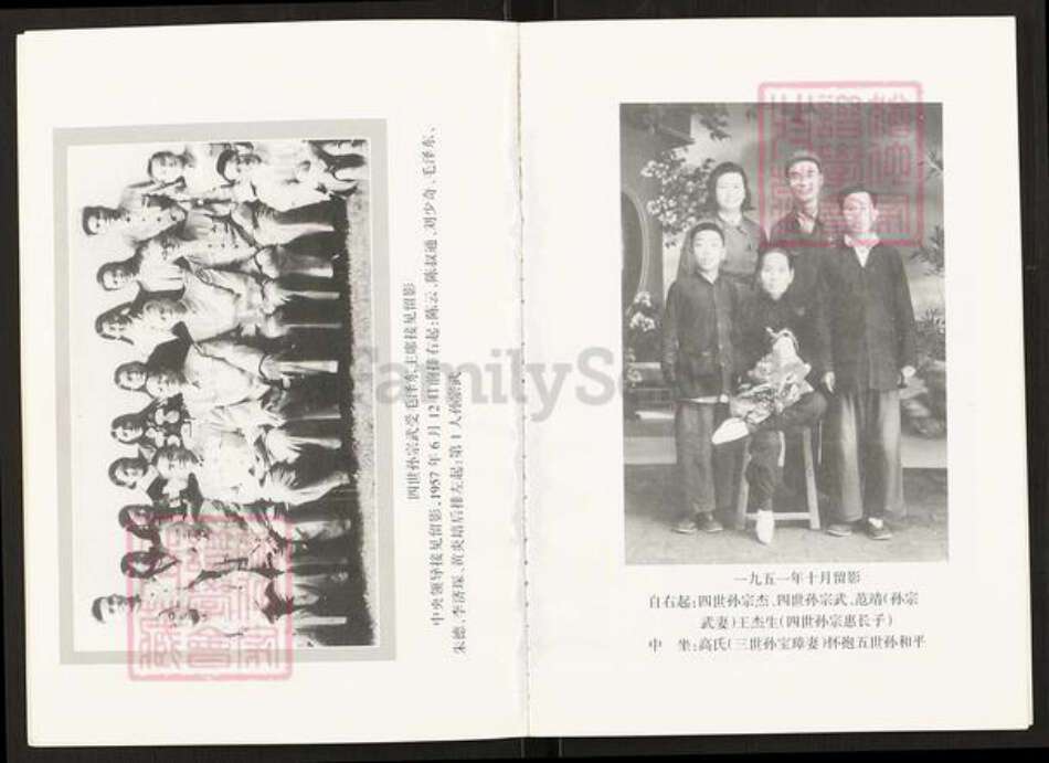 山西省临汾市洪洞县曲亭镇孙氏致善堂族谱-孙致善堂家谱.pdf电子版预览图3