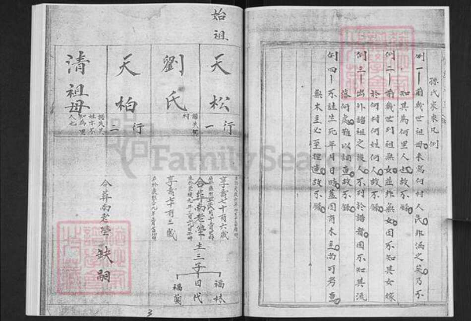 山东省烟台市栖霞市孙氏追远堂族谱-下马家河孙氏追远堂世系谱.pdf电子版预览图5