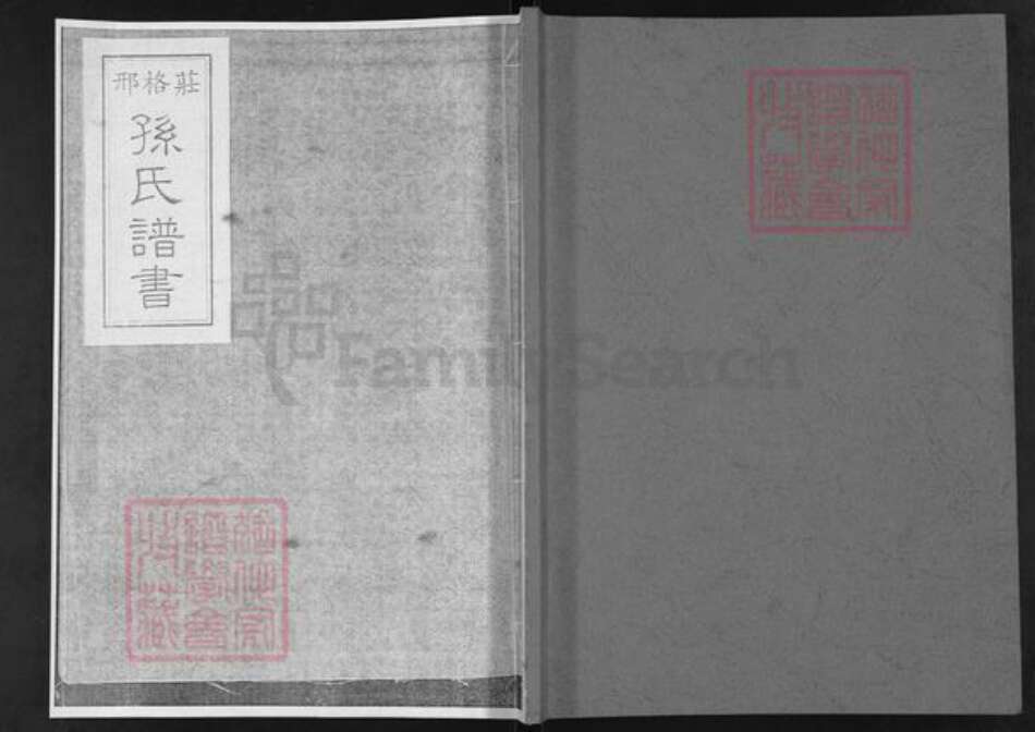 山东省烟台市莱阳市孙氏族谱-邢格庄孙氏谱书.pdf电子版缩略图