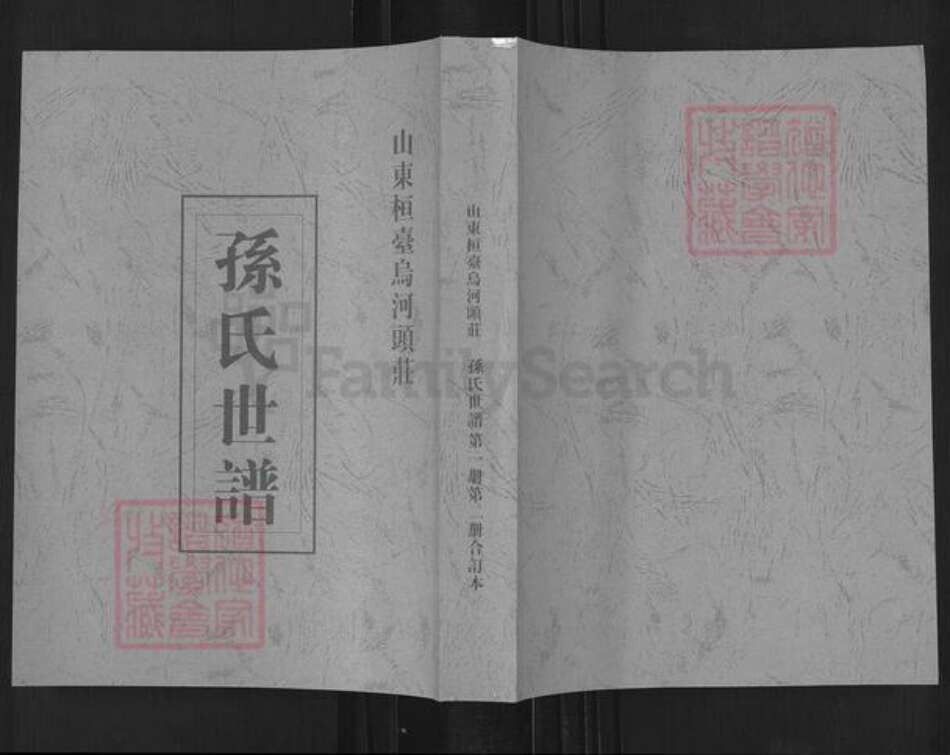 山东省淄博市桓台县新城镇孙氏族谱-山东桓台乌河头庄孙氏世谱.pdf电子版缩略图