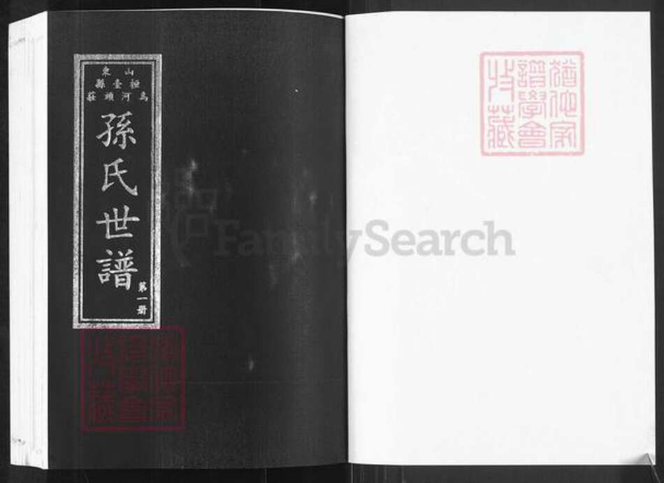 山东省淄博市桓台县新城镇孙氏族谱-山东桓台乌河头庄孙氏世谱.pdf电子版预览图1