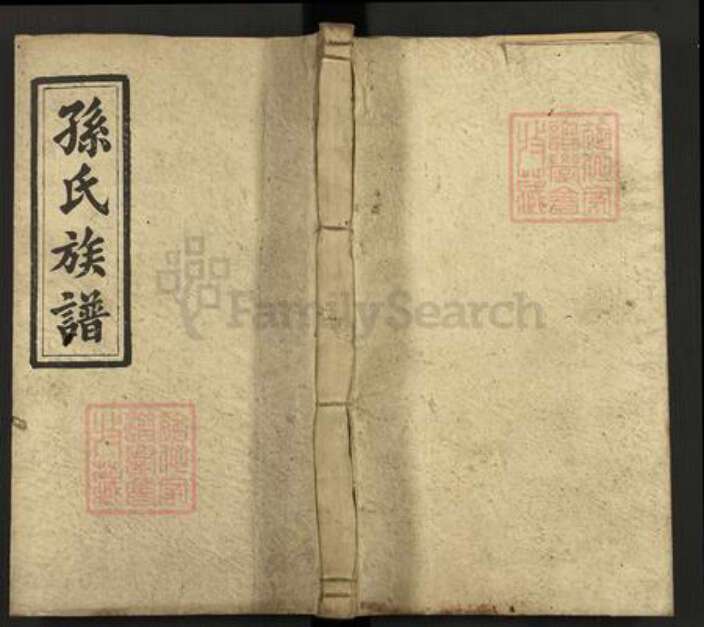 湖南省邵阳市武冈市武冈孙氏族谱-孙氏四修族谱.pdf电子版缩略图