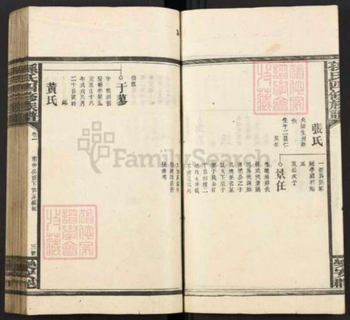 湖南省邵阳市武冈市武冈孙氏族谱-孙氏四修族谱.pdf电子版预览图3