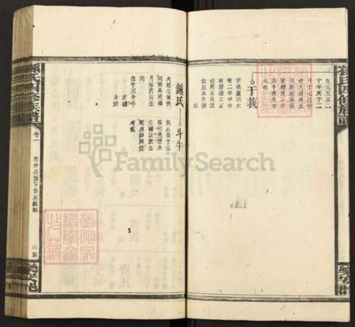 湖南省邵阳市武冈市武冈孙氏族谱-孙氏四修族谱.pdf电子版预览图4