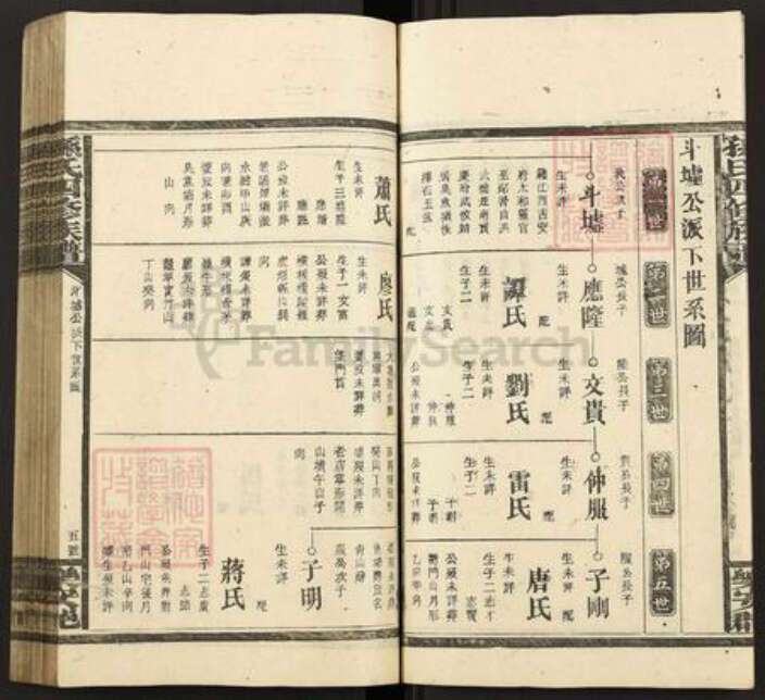 湖南省邵阳市武冈市武冈孙氏族谱-孙氏四修族谱.pdf电子版预览图5