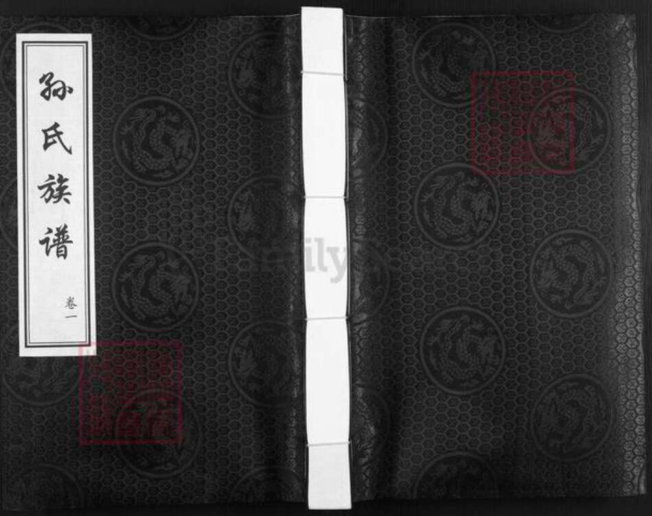 山东省德州市乐陵市铁营镇孙氏族谱-孙氏族谱.pdf电子版缩略图