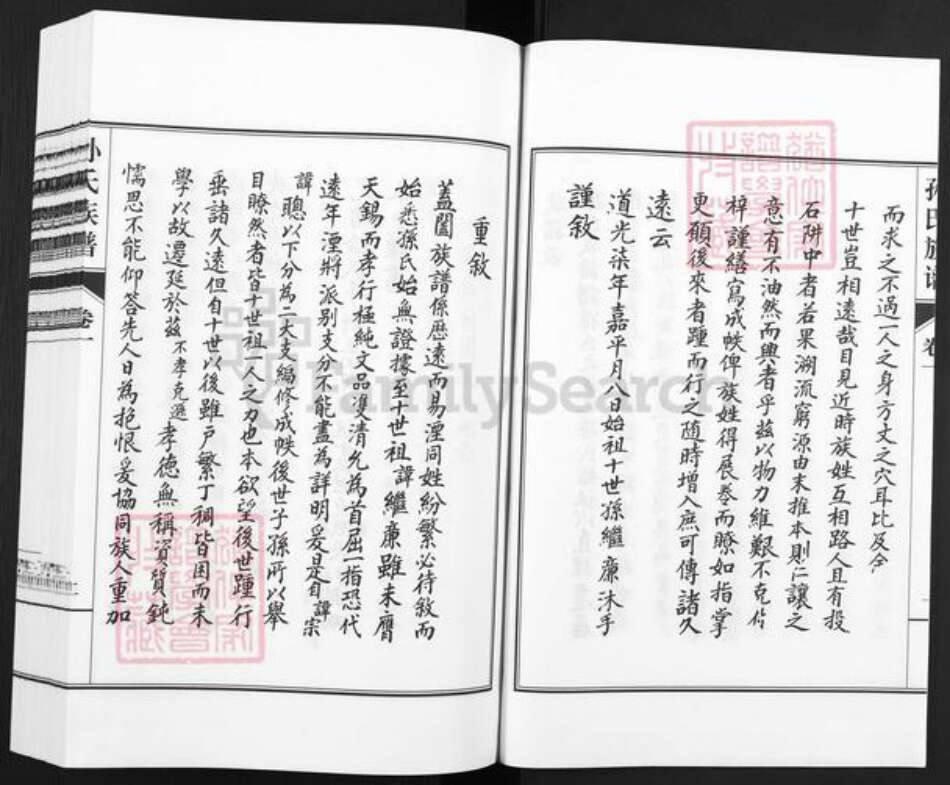 山东省德州市乐陵市铁营镇孙氏族谱-孙氏族谱.pdf电子版预览图2