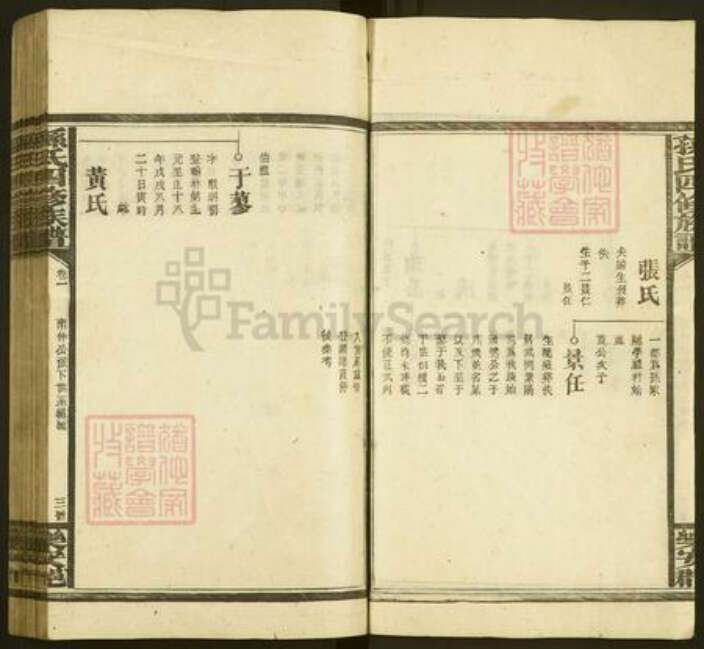 湖南省邵阳市孙氏族谱-孙氏四修族谱.pdf电子版预览图3