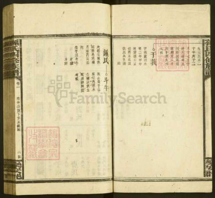 湖南省邵阳市孙氏族谱-孙氏四修族谱.pdf电子版预览图4