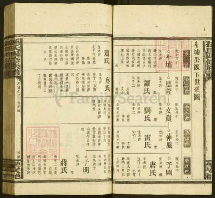 湖南省邵阳市孙氏族谱-孙氏四修族谱.pdf电子版预览图5