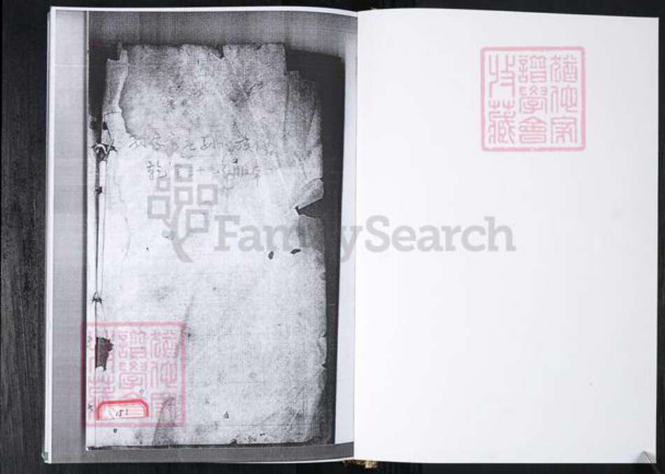 山东省青岛市孙氏族谱-孙氏族谱.孙家官庄.pdf电子版预览图1