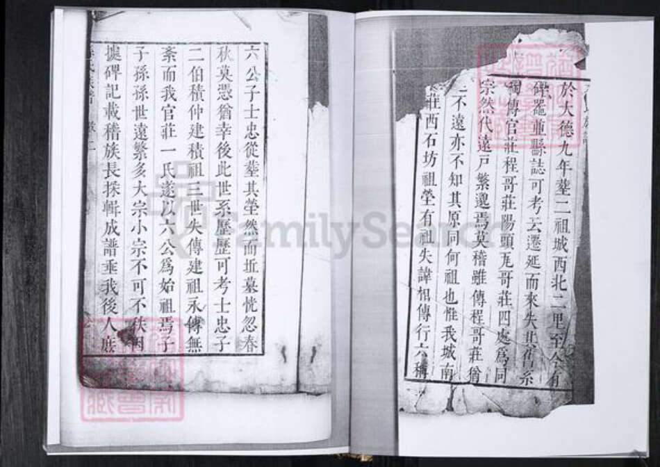 山东省青岛市孙氏族谱-孙氏族谱.孙家官庄.pdf电子版预览图2