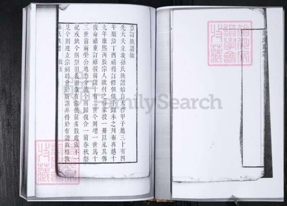 山东省青岛市孙氏族谱-孙氏族谱.孙家官庄.pdf电子版预览图5