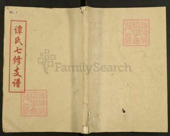 河南省平顶山汝州市谭氏夺锦堂族谱-谭氏七修支谱.pdf电子版缩略图