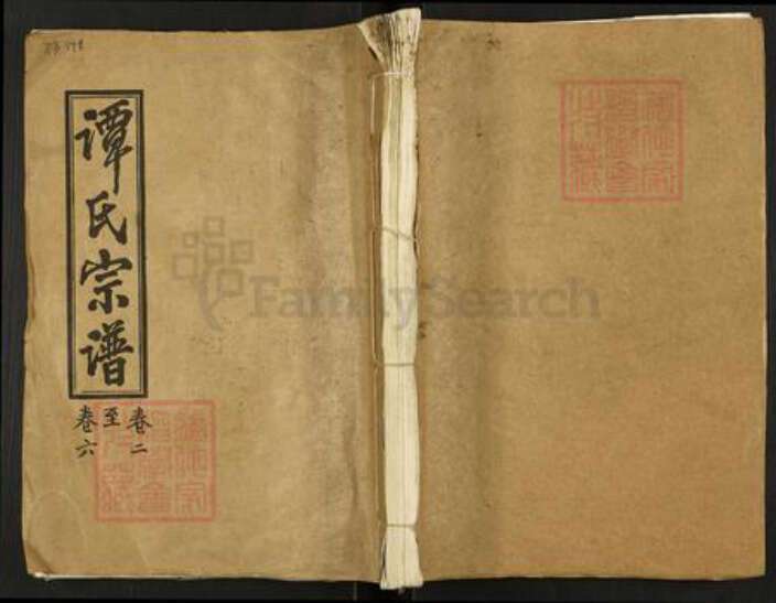 湖南省郴州市桂阳县荷叶镇谭氏三仕堂族谱-谭氏宗谱.pdf电子版缩略图