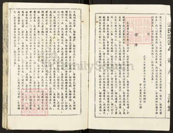 湖南省郴州市桂阳县荷叶镇谭氏三仕堂族谱-谭氏宗谱.pdf电子版预览图3
