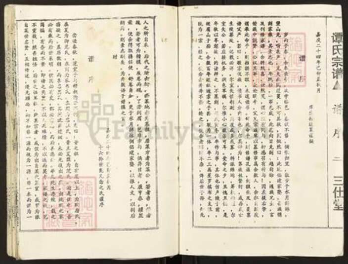 湖南省郴州市桂阳县荷叶镇谭氏三仕堂族谱-谭氏宗谱.pdf电子版预览图4