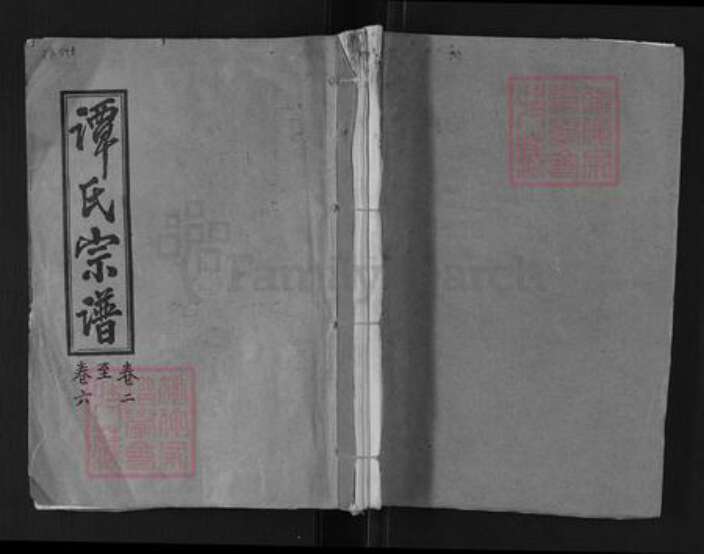 湖南省郴州市桂阳县荷叶镇谭氏三仕堂族谱-谭氏宗谱.pdf电子版缩略图