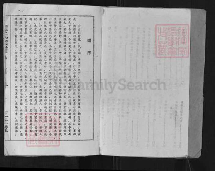 湖南省郴州市桂阳县荷叶镇谭氏三仕堂族谱-谭氏宗谱.pdf电子版预览图2