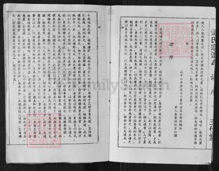 湖南省郴州市桂阳县荷叶镇谭氏三仕堂族谱-谭氏宗谱.pdf电子版预览图3