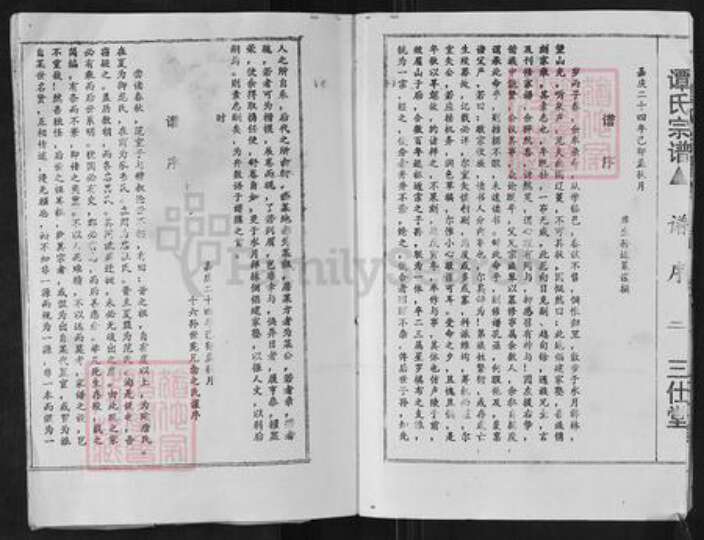 湖南省郴州市桂阳县荷叶镇谭氏三仕堂族谱-谭氏宗谱.pdf电子版预览图4