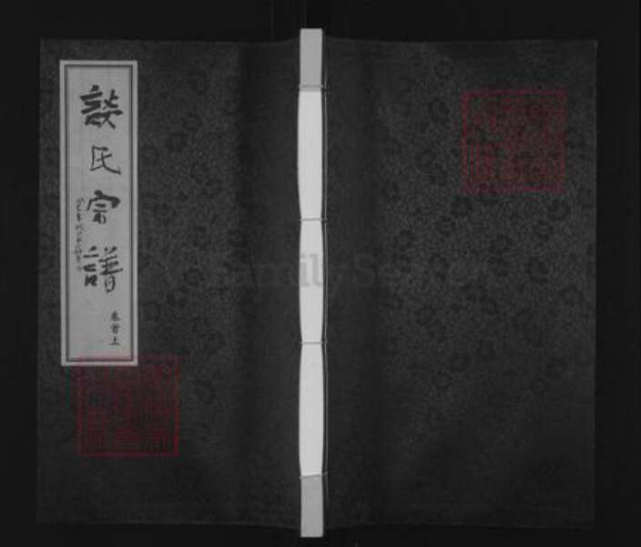 江苏省常州市天宁区郑陆镇谈氏追远堂族谱-谈氏宗谱.pdf电子版缩略图