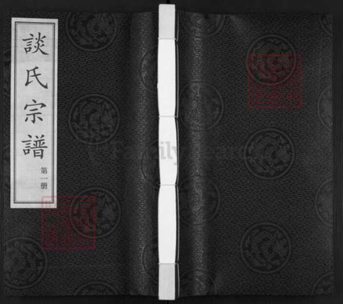 江苏省常州市溧阳市上黄镇谈氏永思堂族谱-谈氏宗谱.pdf电子版缩略图