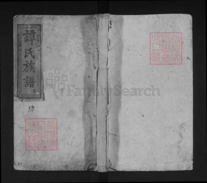 湖南省谭氏三仕堂族谱-谭惟甫公五修族谱.pdf电子版缩略图