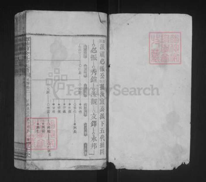 湖南省谭氏三仕堂族谱-谭惟甫公五修族谱.pdf电子版预览图1