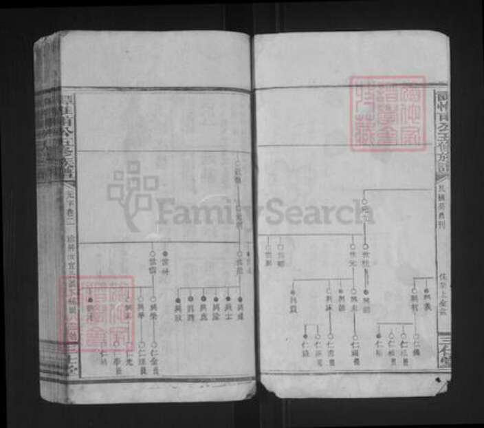 湖南省谭氏三仕堂族谱-谭惟甫公五修族谱.pdf电子版预览图2