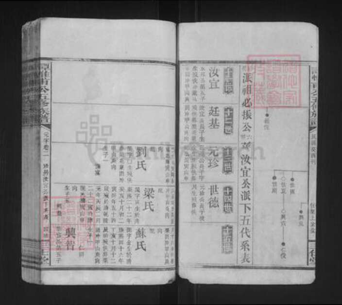 湖南省谭氏三仕堂族谱-谭惟甫公五修族谱.pdf电子版预览图3