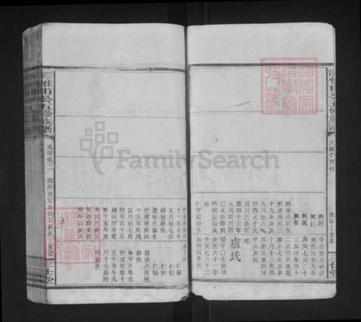 湖南省谭氏三仕堂族谱-谭惟甫公五修族谱.pdf电子版预览图4