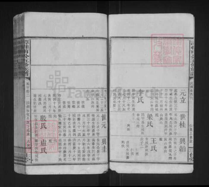 湖南省谭氏三仕堂族谱-谭惟甫公五修族谱.pdf电子版预览图5