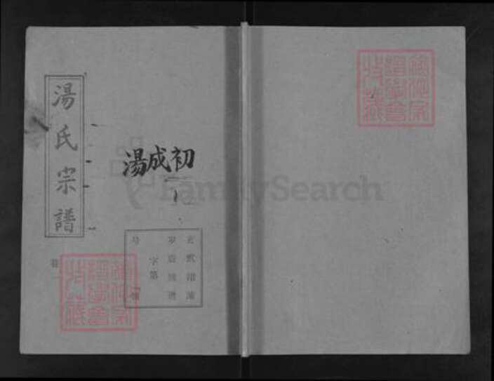 湖北省孝感市孝昌县季店乡汤氏中山堂族谱-汤氏宗谱.pdf电子版缩略图