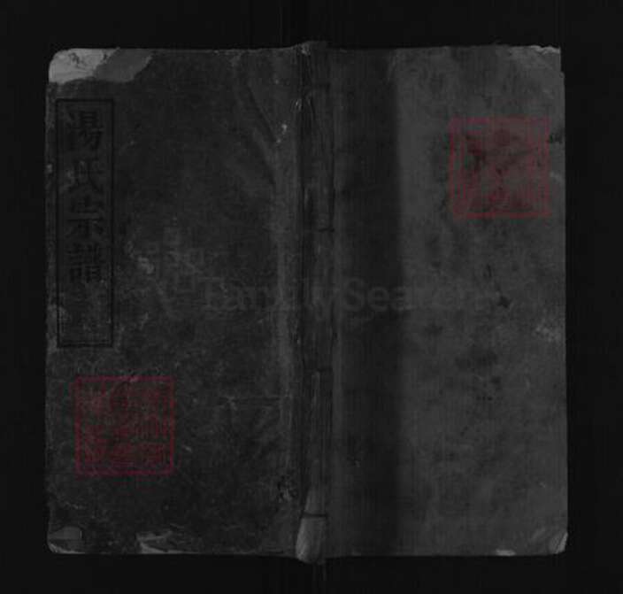 湖北省黄冈市汤氏濬哲堂族谱-汤氏宗谱.pdf电子版缩略图