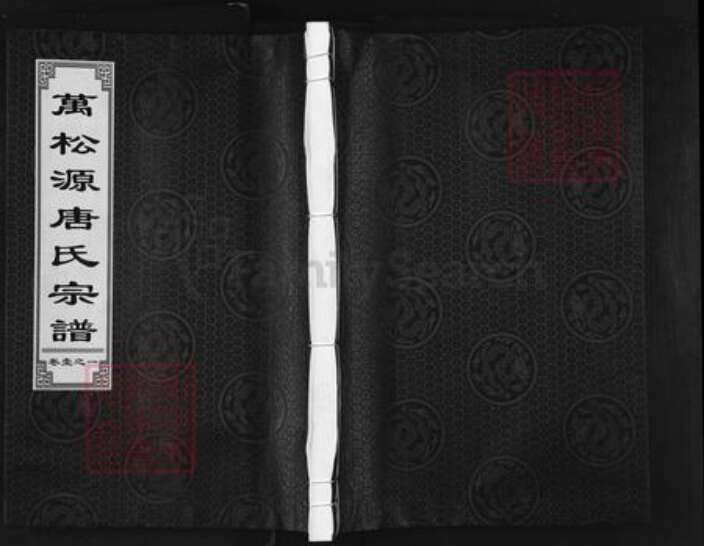 浙江省金华市兰溪市黄店镇唐氏万松堂族谱-万松源唐氏宗谱.pdf电子版缩略图