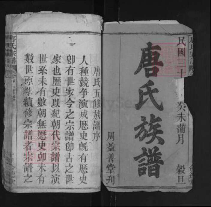 湖北省黄冈市罗田县唐氏合德堂族谱-唐氏宗谱.pdf电子版预览图1