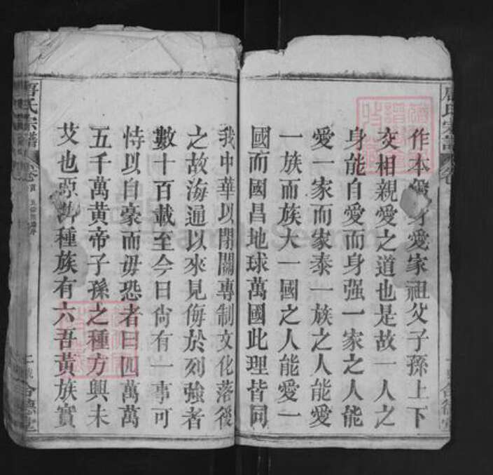 湖北省黄冈市罗田县唐氏合德堂族谱-唐氏宗谱.pdf电子版预览图2