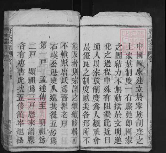 湖北省黄冈市罗田县唐氏合德堂族谱-唐氏宗谱.pdf电子版预览图4