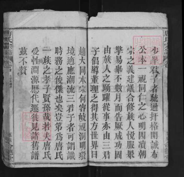 湖北省黄冈市罗田县唐氏合德堂族谱-唐氏宗谱.pdf电子版预览图5