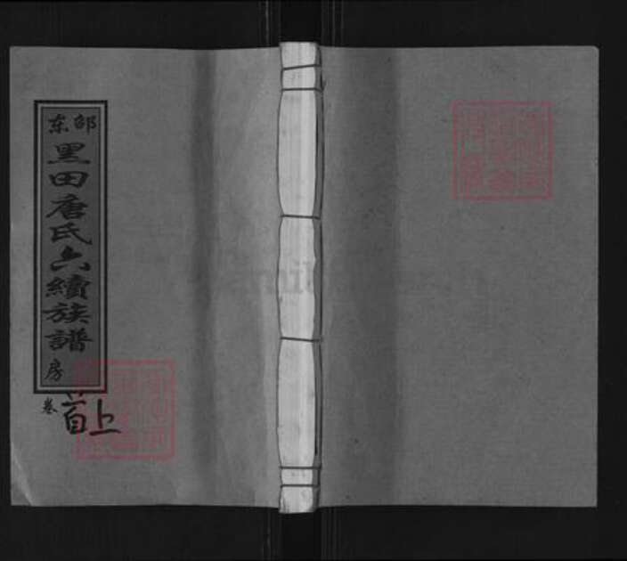 湖南省邵阳市邵东市唐氏敦睦堂族谱-邵东黑田唐氏六续族谱.pdf电子版缩略图