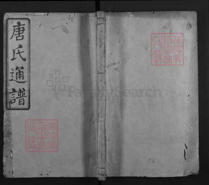 湖南省邵阳市隆回县新田唐氏族谱-唐氏合修通谱.pdf电子版缩略图